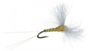 cdc-biot-spinner