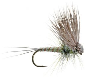 Hairwing-Dun-Green-Drake
