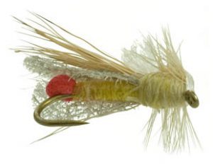 outrigger-yellow-sally