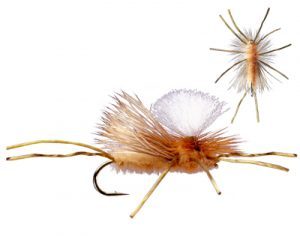 trinas-flexi-girdle-bug