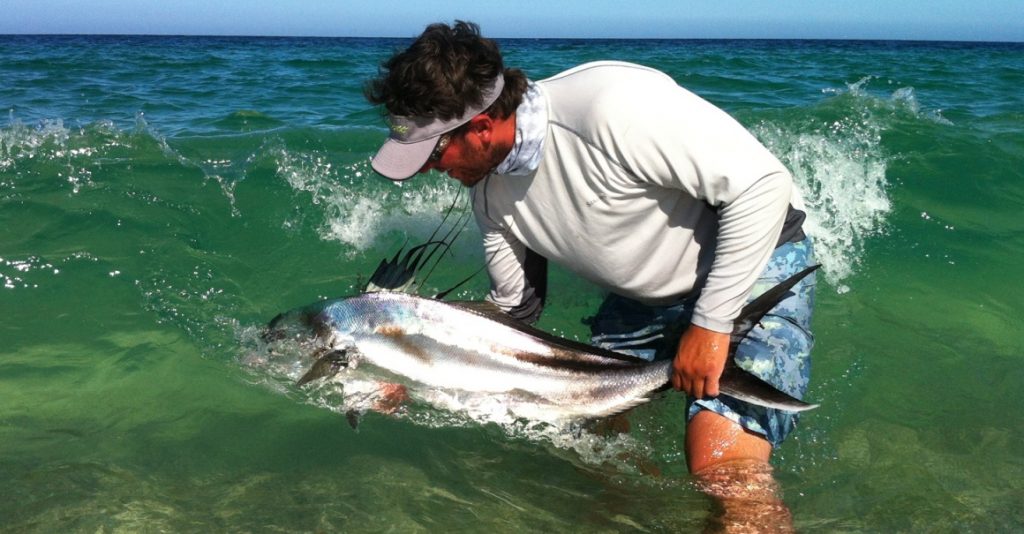 fly-fishing-roosterfish-baja-mexico
