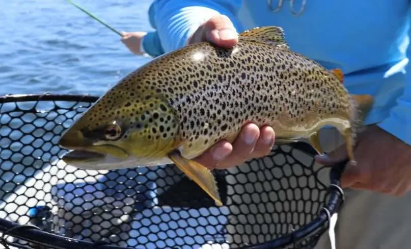 guided fly-fishing trip