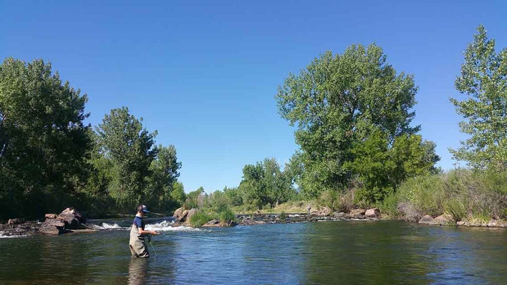 fly fishing in river