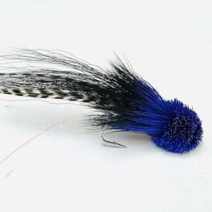 tarpon rat